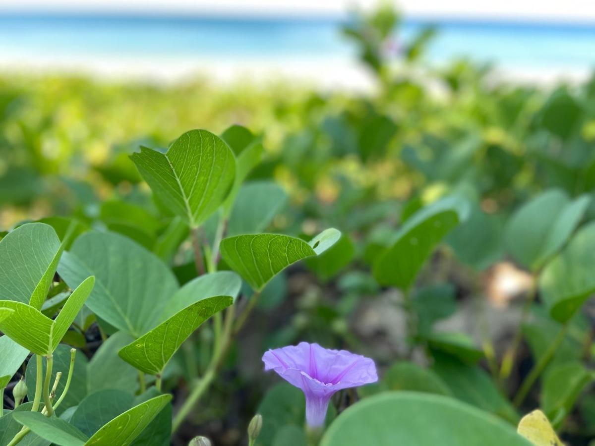 Lanta Smile Inn Ko Lanta المظهر الخارجي الصورة